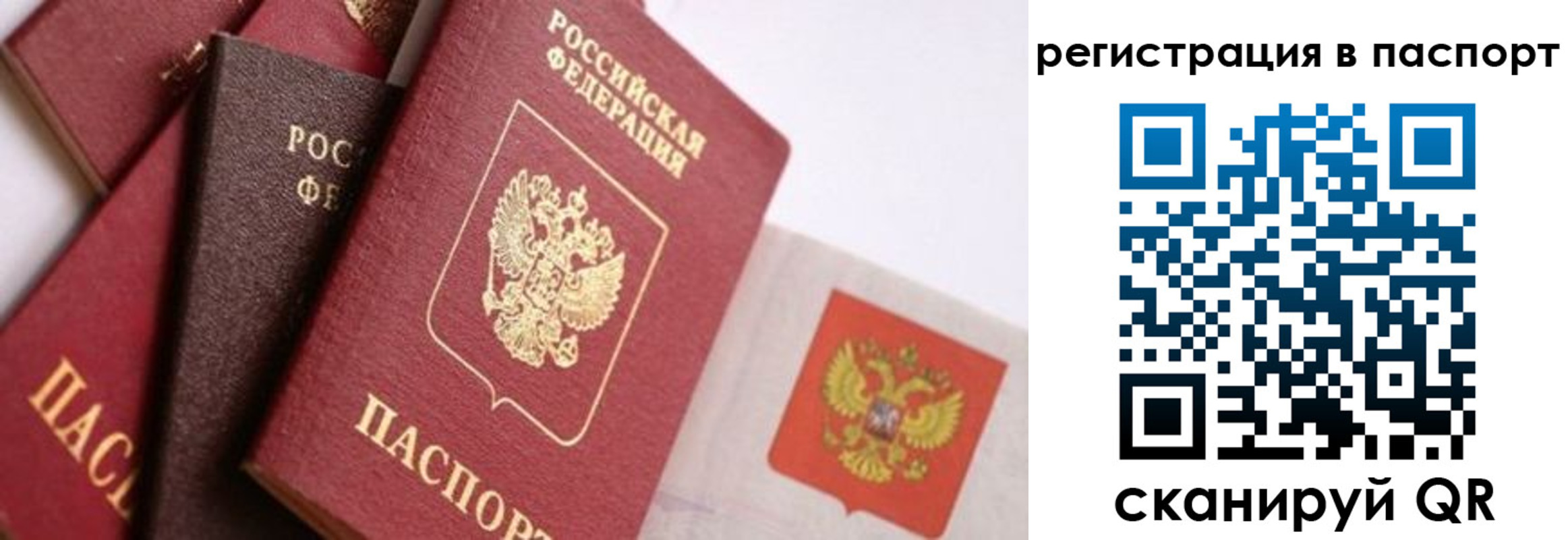 прописка в квартире в Приволжске